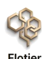 Flotier